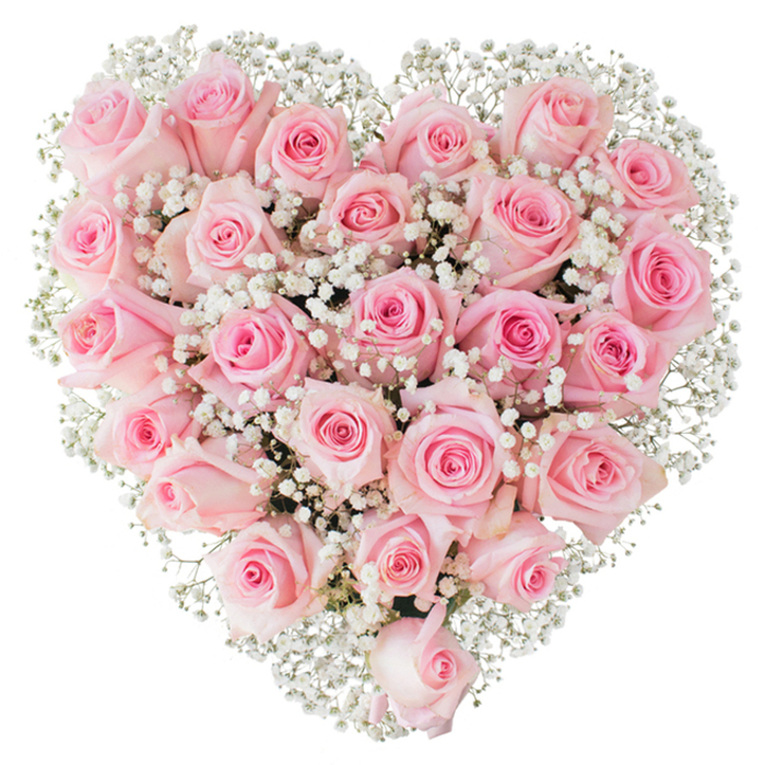 A breathtaking heart of blooms, photographed against a pure white backdrop, where a dense constellation of soft pink roses forms the dominant surface and countless white gypsophila float through like mist. Each rose has been chosen for its satin texture and subtle colour variation - some a tender blush, others a fuller rose hue - and arranged so that tighter buds sit beside partially open flowers, creating a living gradient of shape and shadow. The tiny white baby's breath provides delicate punctuation throughout, softening the heart's outline and giving the whole piece an ethereal, cloud-like quality. Bright, even lighting reveals the minute veins on petals and the velvety depth that comes when dozens of roses press close together; the effect is luxurious yet quietly restrained. In scent you would sense a faint, sweet rose note, never overpowering, and in touch the contrast of smooth petals against the feathery gypsophila. This composition is a classic expression of love and remembrance - chosen for weddings, anniversaries, Valentine's gestures, or soothing condolence arrangements - and it carries an intimacy that suits both celebratory and reflective moments. Crafted by experienced hands from our local workshop, it is the sort of heart we prepare for deliveries across St Mary Cray, whether for an address near the River Cray, a table at a small family gathering on the High Street, or a quiet placement at St Mary Cray station for a commuter surprise; Flower Delivery St Mary Cray honours that local connection in every bloom.