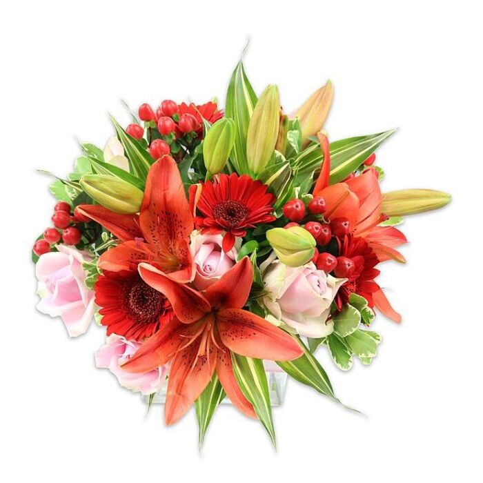 Presented against a bright white background, this sumptuous bouquet reads like a study in warm tones and floral craftsmanship, starting with several large, open Asiatic lilies in a vivid orange-red - some with delicate dark speckles and recurved petals, others as elegant buds that promise a slow unfurling. The lilies' prominent stamens and anthers add botanical detail that invites a closer look. Nestled among them are soft blush roses, their layered petals forming compact rosettes that temper the bouquet's fiery accents with a gentle, romantic softness. Deep crimson Gerbera daisies contribute rhythmic, sunburst shapes and a velvety visual weight, while clusters of shiny red hypericum berries are dispersed throughout to punctuate the design with glossy, festive notes. Lush greenery fills and frames the arrangement: broad, smooth leaves create a dense backdrop, slender lance-shaped foliage adds line and height, and a few variegated leaves introduce pale streaks and depth. The overall shape is full and rounded, the flowers arranged with attentive layering so each bloom reads clearly from the front. Bathed in clear, natural-feeling light, the warm reds and oranges glow against the white field while the pink roses cool the palette just enough for balance. As prepared by a local hands-on florist serving St Mary Cray and surrounding Crays, and available through Flower Delivery St Mary Cray for thoughtful deliveries to homes near the station or down the High Street, this bouquet suits celebrations, heartfelt gifts, or a striking table centre that radiates warmth and careful design.
