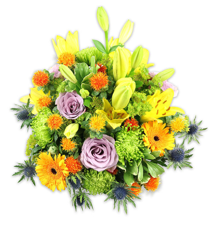 Richly textured and intentionally joyful, this densely packed floral composition sits against a clean white background so every hue and form stands out with clarity. As a local florist who arranges for families around St Mary Cray and nearby Foots Cray, I see this combination chosen for its balance of vibrancy and refinement: radiant yellow Asiatic lilies supply height and movement, some fully unfurled with freckled throats, others held as fresh elongated buds. Two soft lavender-purple roses anchor the centre, their layered spirals offering a gentle, romantic counterpoint to the more exuberant elements. Large orange Gerbera daisies punctuate the scene with broad, flat petals and darker central discs that draw the eye, while lime green button chrysanthemums create plush, almost mossy mounds that give mass and softness. Scattered spherical accents in orange and golden yellow bring charming, playful texture reminiscent of craspedia, and several blue-grey sea thistles (Eryngium) rise from the lower and side planes with their architectural, spiky bracts, adding cool contrast and modern interest. A variety of greens - from glossy broad leaves to finer filler foliage - frames every bloom, unifying the palette and lending a garden-fresh scent impression. The lighting here suggests gentle daylight, similar to the soft morning sun that filters through windows on St Mary Cray's Main Road, picking out satin petal sheens and the matte, powdery blues of the thistles. Carefully balanced for occasions ranging from birthdays and thank-yous to more reflective sympathy gestures, this bouquet is delivered with the same attention to detail we bring at Flower Delivery St Mary Cray.