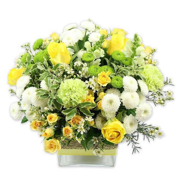 A beautifully composed bouquet in lively yellow, clean white, and bright lime green rests in a low, square glass vase, set against a stark white background that accentuates every nuance of colour and texture. The arrangement forms a full, domed silhouette, anchored by open yellow roses and clusters of smaller yellow spray roses, their spiralling petals soft and velvety, creating a warm focal point. Around them, dense white pompom chrysanthemums and compact button mums gather in rounded shapes, lending plush volume and a cloud-like softness to the design. Threaded throughout are vivid lime green button chrysanthemums and larger, frilly green blooms, reminiscent of ruffled carnations or unique green mums, giving the entire bouquet a modern, refreshing twist, much like the first leaves appearing in local parks near St Mary Cray. Enveloping the flowers is a tapestry of foliage: broad, variegated leaves edged in cream, deep green leaves with a natural sheen, and fine, airy sprigs that arc and weave through the arrangement, softening transitions between blooms and adding visual movement. The clear vase showcases the neatly cut stems, all aligned with deliberate precision, suggesting the practiced touch of a florist who knows how to balance structure and abundance. At the vase's midsection, a band of rustic, woven material-possibly raffia or bark-is tied snugly, then finished with a bright lime green ribbon that mirrors the green flowers above, creating a harmonious link from top to base. The light is bright yet gentle, highlighting the freshness of each bloom as if they've just arrived for same-day delivery within BR5. This design exudes warmth, joy, and a sense of easy celebration, making it ideal for birthdays, housewarmings, or as a cheerful centrepiece for a family table in St Mary Cray.